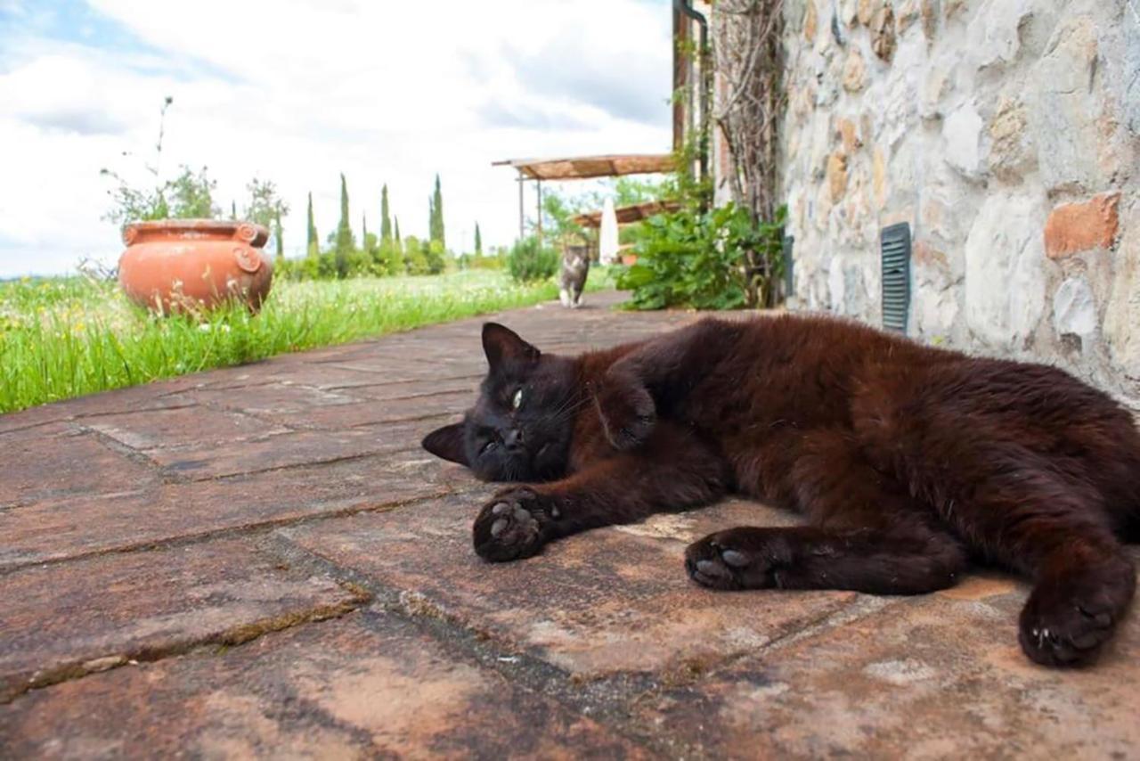 Agriturismo Fattoria Di Statiano Pomarance Exterior foto